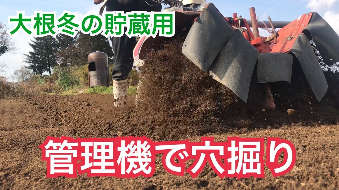 一人 農業 田舎暮らし 管理機で穴掘り作業大根冬貯蔵 Youtube