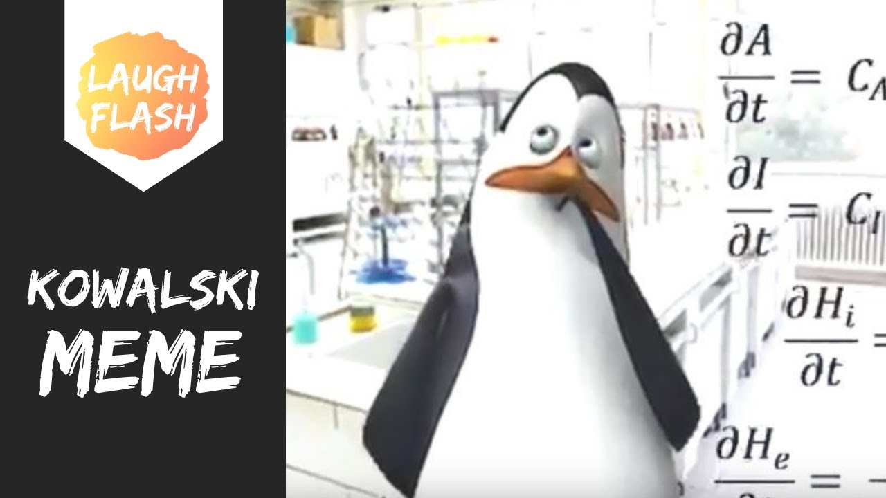 Kowalski Analysis Meme Youtube