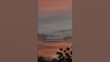 وَكُلُّهُمْ آتِيهِ يَوْمَ الْقِيَامَةِ فَرْدًا | #عبدالرحمن_مسعد | #سورة_مريم