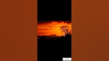 Thumbnail of Feel The Song🎵🎼 || Beautiful Sunset || #short