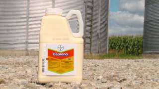 One-Pass Herbicide System Controls Common Ragweed & Broadleaf Weeds