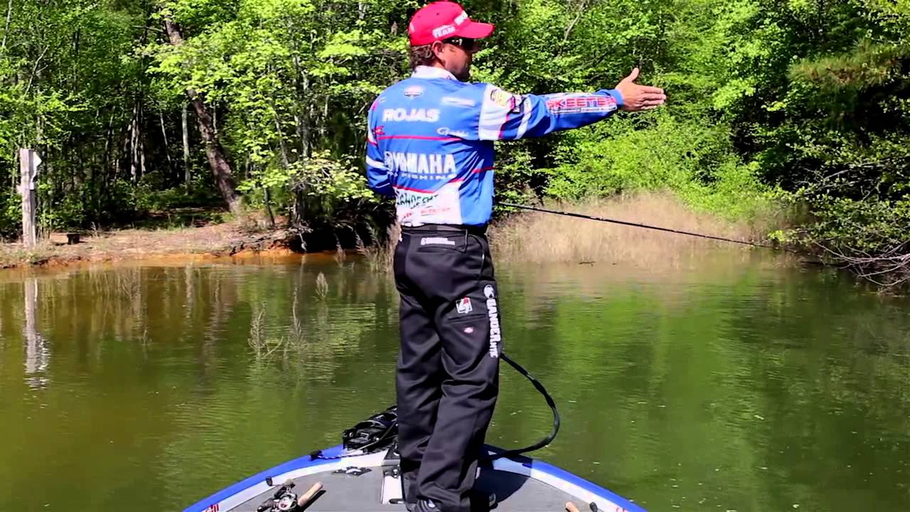 Optimal Conditions for Fishing Topwater Frogs for Bass - Wired2Fish