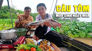 🔴 Câu Tôm, Bất Ngờ Dính Cá Ngát Trên Sông Ngày Mưa Bão | Cẩm Hằng