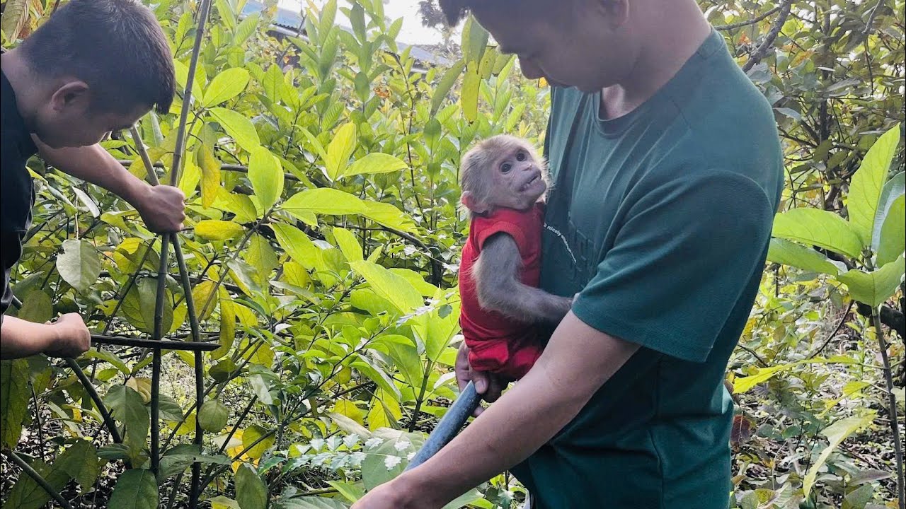 Rum woke up and looked for his dad and uncle.