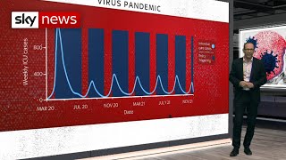 Analysis: Just how serious could COVID-19 cases be?