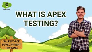 What is Apex Testing? Salesforce Development Tutorials Wealth