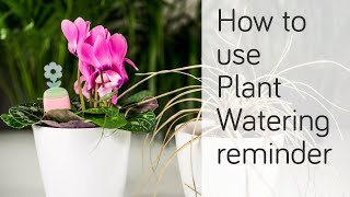 PlantRay - Plant Watering reminder - how to water you plants screenshot 1