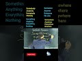 Indefinite Pronouns in English // How to learn Indefinite Pronouns with tricks