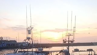 Mikey Zee is live fishing for mackerel and looking out for dolphins, sealife , bass , birds
