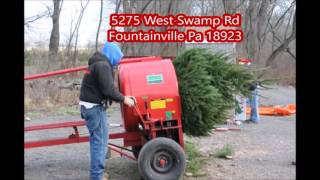 Christmas Time  on a Tree Farm in Bucks County Pa