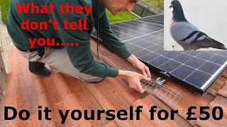 Pigeons under solar panels, how to stop them on a budget