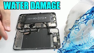 iPhone 11 Water damage 💦 Can it be repaired?