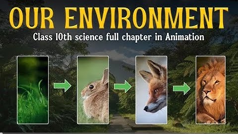 Our Environment Class 10 full chapter (Animation) | Class 10 Science Chapter 14 | CBSE | NCERT