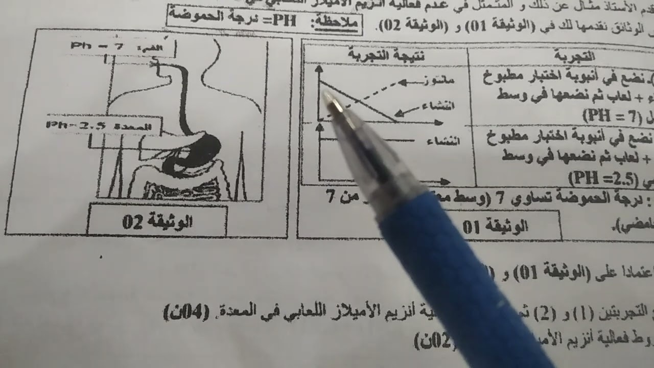 تمرين خصائص الأنزيمات