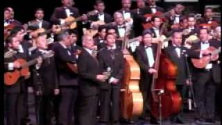 Video thumbnail of "Te Deseo Amor - Concierto de 40 Aniversario- La Rondallla de Saltillo."