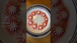 Peppermint Experiment [Simple Science for Kids]