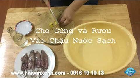 Mực Tươi - Cách Làm Sạch Mực Tươi Nhanh