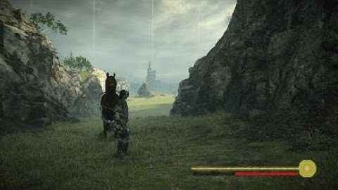 SHADOW OF THE COLOSSUS OOB at C4