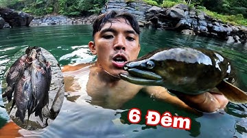 6 Đêm Quay Trở Lại Thượng Nguồn Sông ĐỒNG NAI | Săn Tìm Cá Lăng Rừng ( phần 1)