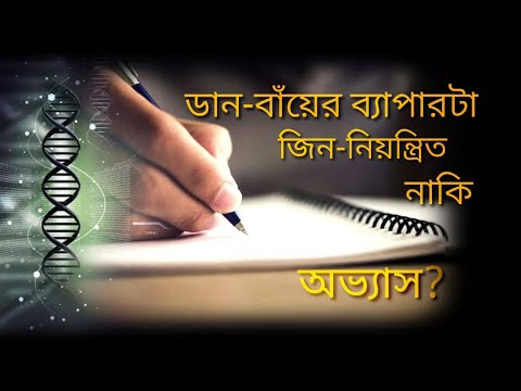 ডান কিংবা বান হাত দিয়ে লেখার বিজ্ঞানভিত্তিক ব্যখ্যা | মানুষ বাম হাত দিয়ে লেখে কেন ?