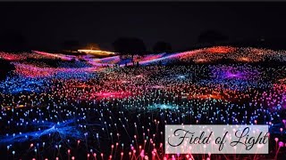 Career Overview Field of Light | Paso Robles | Sensorio