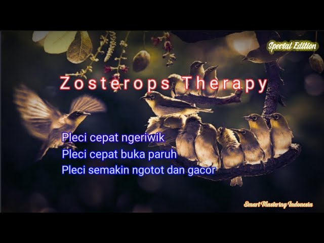 Smart Mastering - Zosterops Therapy (khusus burung pleci) class=