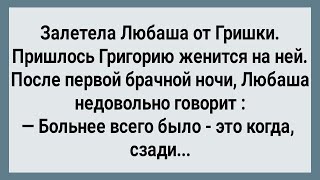 видео: Как Любаша от Гришки Залетела! Сборник Свежих Анекдотов! Юмор! картинка: Как Любаша от Гришки Залетела! Сборник Свежих Анекдотов! Юмор!