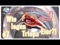 Beachte diese Dinge bevor deine Triops Eier legen!  // Triops Spektrum