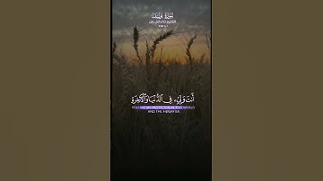 #قران_كريم #اكسبلور #تلاوة_خاشعة #راحة_نفسية #اللهم_صل_وسلم_على_نبينا_محمد #متابعة #خالد_الجليل
