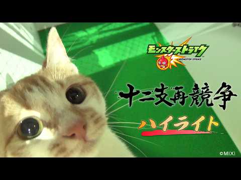「2017『リアル版 十二支再競争』ハイライト【モンスト公式】」のサムネイル