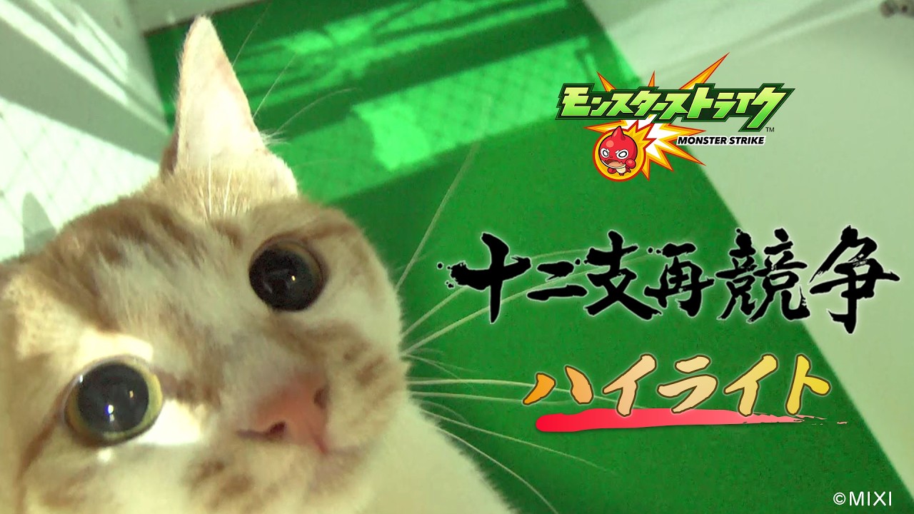 前回のレースをチェック！