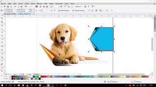 Coreldraw Para Iniciantes  Aula 008 Efeito Papel Enrolado