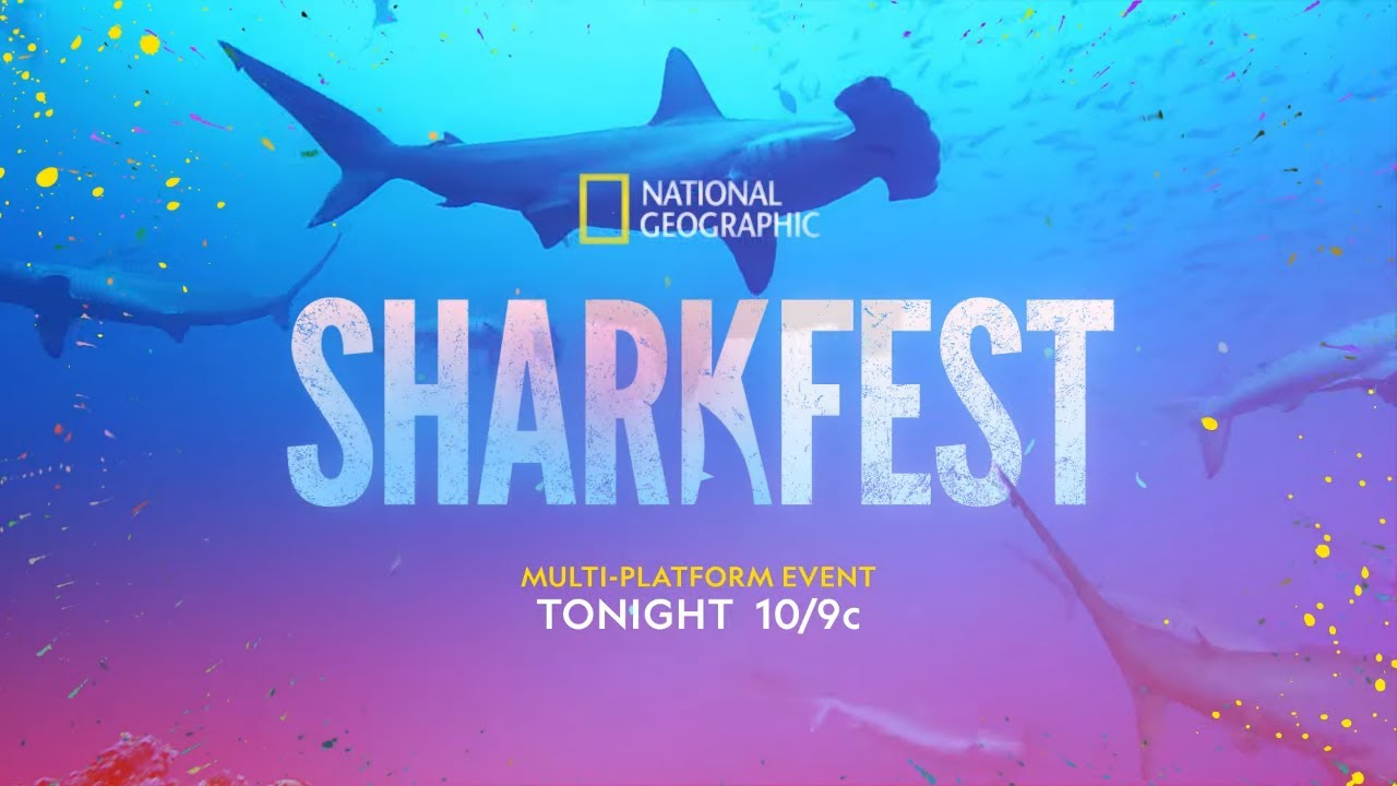 SharkFest 2022 | National Geographic - National Geographic celebrates 10 years of SharkFest with more action-packed shark programming than ever before.