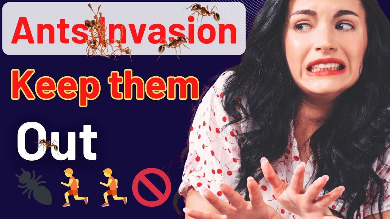 Ant Invasion Survival Guide: Top Pest Control Tips - YouTube