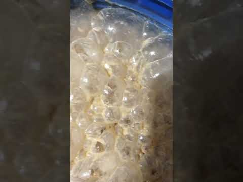 تخمیر شراب ۱۴۰۱