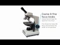 Mastering the Parts and Functions of a Compound Light Microscope