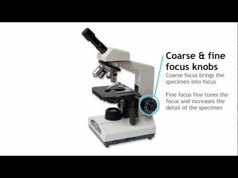 Video: Wat Is De Structuur Van Een Microscoop?