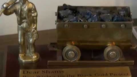 Pakistan’s coal expansion brings misery to villagers in Thar desert