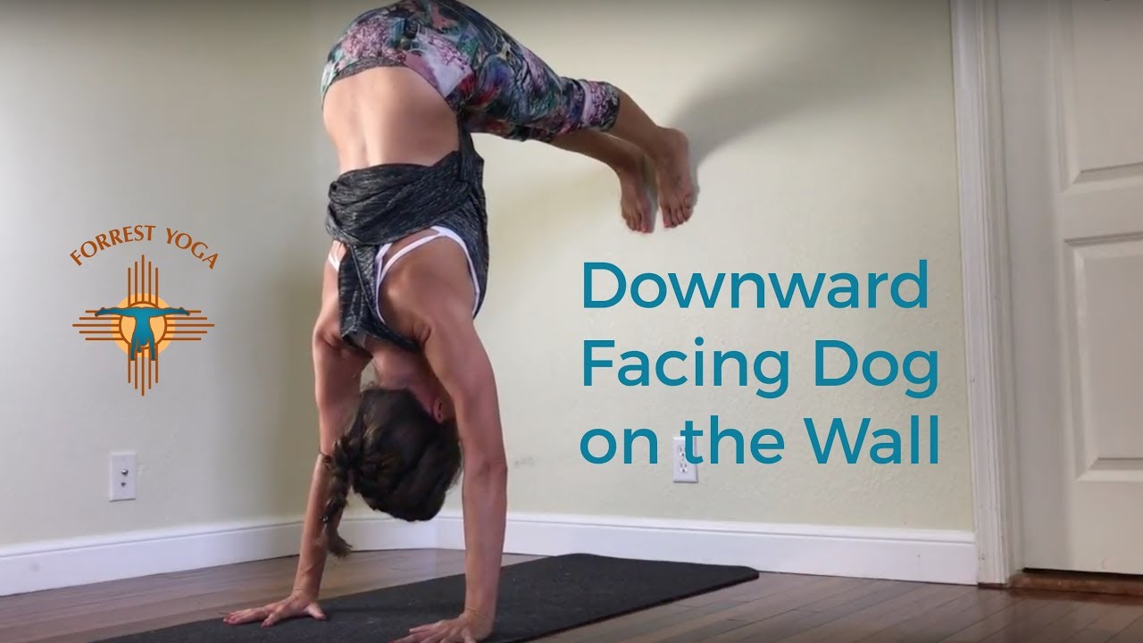 Downward Facing Dog Head On Floor Downward Facing Dog Head On Floor