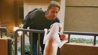 10 Momentos Más Desternillantes Entre Perros y Sus Humanos del Año1 by Zona de Confort TV 9,384 views 1 month ago 18 minutes