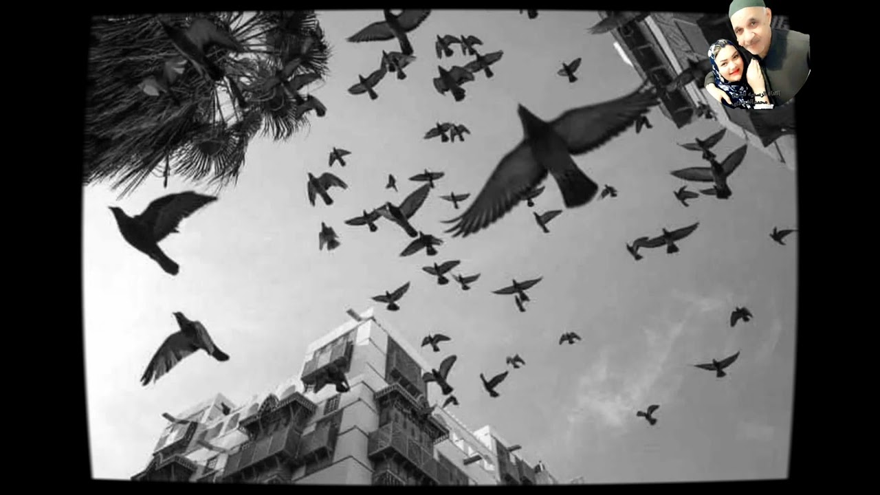 اسمعوا ياولاااد الشرنوبي لو عندك روح اسمع👳📿 #نورامحمدالشرنوبي