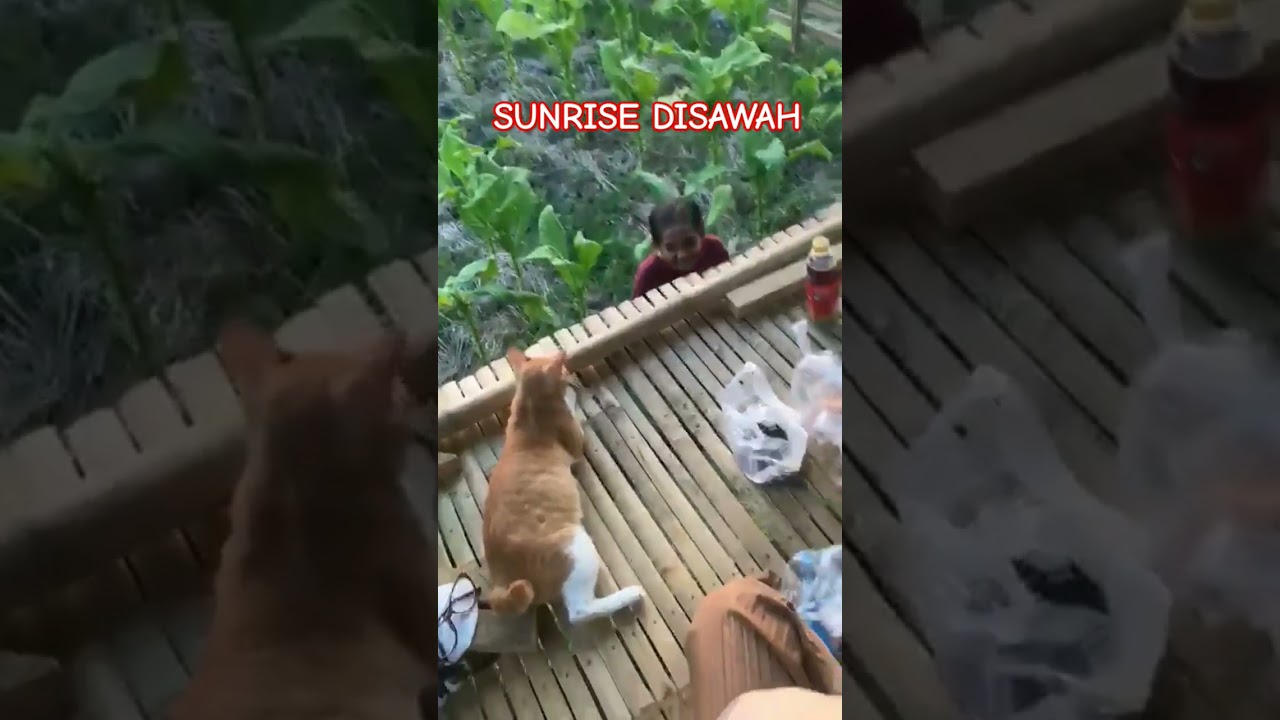 SUNRISE INDAH BANGET