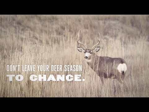 Deer Hunt Nebraska