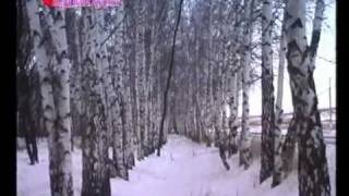 КультУра - Зинаида Серебрякова