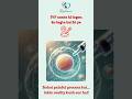 IVF ke ye 5 steps har couple ko pata hone chahiye! #radiancelifelinefertilitycentre #drshahidanaghma