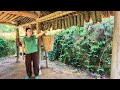 Making Traditional Cakes &amp; Stormy Weather Damages Trees in the Garden_L&yacute; dao dao 