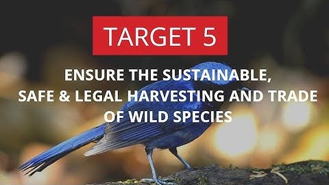 Transformative actions needed to impement the KMGBF Target 5!