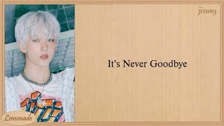 NCT DREAM Never Goodbye Easy Lyrics