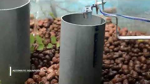 AUTOMATED AQUAPONICS SYSTEM WITH IoT
