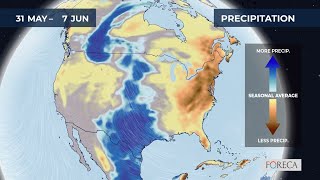 Monthly precipitation forecast for the USA 6/2/2026